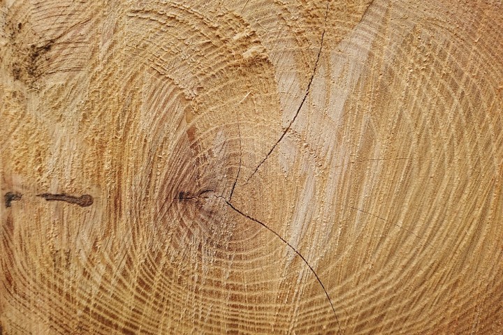 Surowe drewno wymaga zagruntowania produktem Drewnochron Impregnat Gruntujący lub Drewnochron Impregnat Grunt R