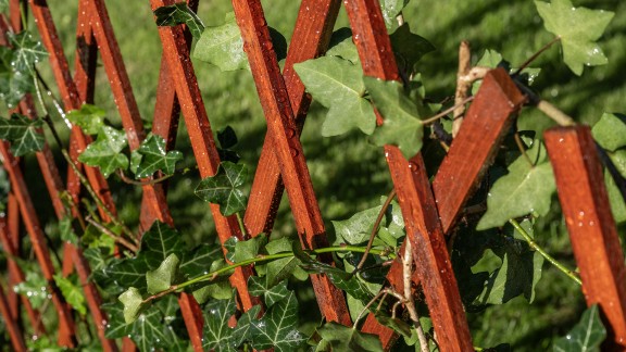 Pergola pomalowana Drewnochron Olej do Drewna w odcieniu merbau