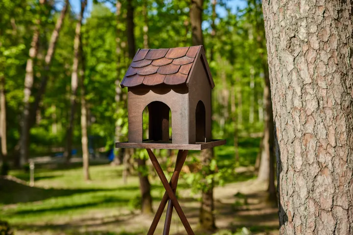 Renowacja domku dla ptaków z Drewnochron Eco&Protection w odcieniu palisander średni