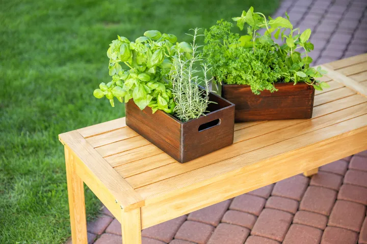 Drewniane skrzynki na zioła pomalowano przy pomocy Drewnochron Olej do Drewna w kolorze palisander