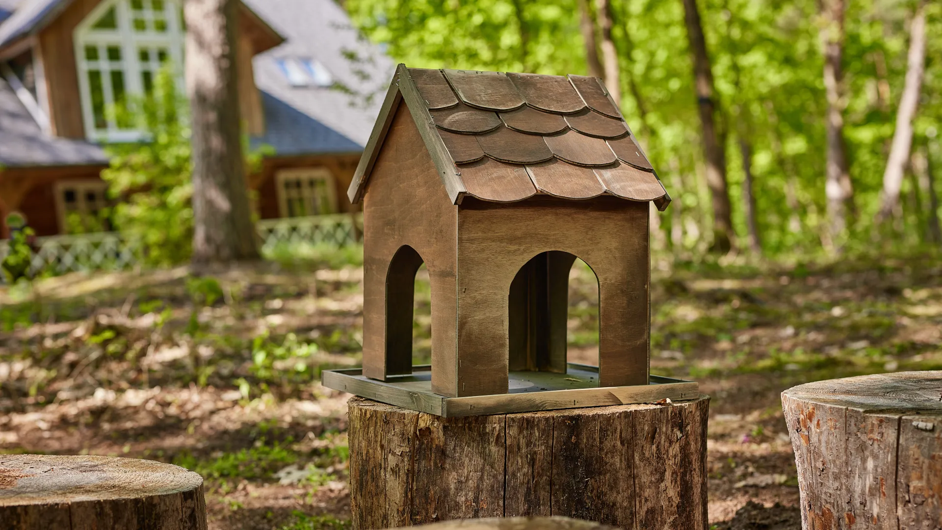 Ocena stanu technicznego domku dla ptaków przed nałożeniem Drewnochron Impregnat Eco&Protection