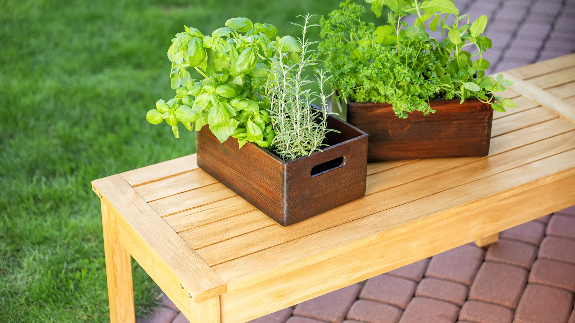 Drewniane skrzynki na zioła pomalowano przy pomocy Drewnochron Olej do Drewna w kolorze palisander